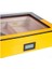2025 Model Classics Humidor - Sarı Siyah 2