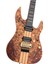 Larry Carlton X10 Elektro Gitar Nts 5