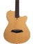 Larry Carlton G5A Elektro Akustik Gitar Nts (Solid Body) 5