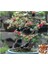 Kara Dut Bonzai Ağacı Tohumu 5 Adet Bonsai Ağacı Tohumu 2