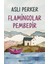 Flamingolar Pembedir - Aslı Perker 2