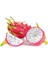 15 Adet Pitaya Tohumu Beyaz Pitaya Ağacı Tohum Ejder Meyvesi Tohumu + Saksı Toprak 3