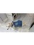 Küçük Irk Köpek Için Jean Elbise 2
