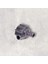 059121012A Yardımcı Su Pompası Pierburg Typ -Amarok-Crafter-Touareg-A4-A6-A7-A8-Q5-Q7-2.0-3.0-Tdı-Casa-Cktb-Ckub 1