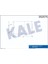 Kondenser Megane 2 Scenic 2 Grand Scenic 2 1.9 2.0dci 2002- 1