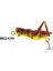 Çekirge Maket Yem Rapala 7gr 4cm 2