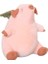 Prodigy Toy Sevimli Bebek Domuz Peluş Oyuncak (Yurt Dışından) 1