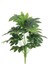 Yapay Salon Köşe Çiçeği Japon Çınar 80 cm (Saksısız) 1