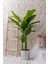 Yapay Ağaç Muz 160 cm 13 Dal 2