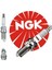 Ngk PFR7W-T Buji Audi A4-A6-A8 3.2 Fsi (05-09) 1