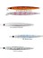 Jig Lance 80GR 14CM Jig Metal Yem T H-Standart 2