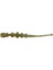 Tipsy Worm 5.8cm Silikon Yem (12 Adet) Pınk Glow-Standart 3