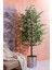 Yapay Starlight Benjamin Ağacı 180 cm 2