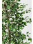 Yapay Starlight Benjamin Ağacı 180 cm 4