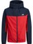 Jack & Jones Jack Jones Mevsimlik Erkek Mont 1