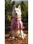 Köpek Yağmurluğu Su Geçirmez Yağmurluk 1