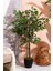 Yapay Benjamin Ağacı 130 cm 2