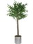 Yapay Zeytin Ağacı 200 cm 1