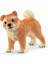 42479 Shiba Inu Oyuncak Figürü, Çok Renkli 4