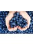 Yaban Mersini Tohumu Blueberry Tohumu 10 Adet Tohum 2