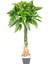Yapay Fortune Gerçek Dokulu 98 Cm. 1
