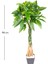 Yapay Fortune Gerçek Dokulu 98 Cm. 3