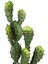 Yapay Kaktüs Saksılı 2 Gövde 72 Cm. 2