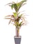 Yapay Dracena Gerçek Dokulu 90 Cm. 1