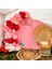 Balon Seti Deepred-Makaron Pembe-Pastel Pembe 60 Lı Balon Zinciri Seti 1