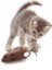 Kurmalı Fare Kedi Oyuncağı Peluş Oyuncak + Kedi Çimi 3'lü 2