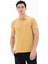 Erkek %95 Pamuk Polo Yaka Regular Fit T-shirt Y25374302501 2