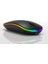 Kablosuz Rgb Ledli Şarjlı 2.4ghz Wireless Mouse Siyah 1