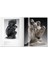 Auguste Rodin: 1840-1917 Hardcover – Illustrated 2