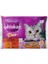 Duo Klasik Karma Lezzetler Kedi Yaş Maması (4 x 85 Gr) 1