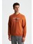 Erkek Regular Fit 3 İplik Şardonlu Pamuklu Bisiklet Yaka Sweatshirt K28124602501 3
