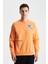 Şık Erkek Regular Fit 3 İplik Şardonlu Bisiklet Yaka Sweatshirt K28124602001 1