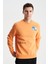 Şık Erkek Regular Fit 3 İplik Şardonlu Bisiklet Yaka Sweatshirt K28124602001 3