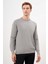 Erkek Gri Basic Bisiklet Yaka Dynamic Fit Rahat Kesim Triko 2