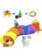 Katlanabilir Kedi Oyun Tüneli Gökkuşağı 117 cm + Sonrisa Pets Organik Kedi Çimi 2 Li 1