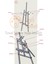 İnci Tuval Şövale 172 cm Özel El Sıkma Aparatlı Ahşap Ayaklı Ayarlanabilir Resim Ressam Tuval Sehpası,verniksiz 5