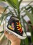 Pikacu Pokemon Baskılı Siyah Uzun Keten Günlük Spor Ayakkabı Sneaker 1