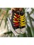 Pikacu Pokemon Baskılı Siyah Uzun Keten Günlük Spor Ayakkabı Sneaker 4