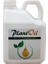 Plant Oil 1
