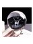Dekoratif Metal Ayaklı Geyik Tasarımlı 3D Cam Küre Standlı Christmas Ren Geyiği 5
