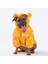 Sarı Teddy Puff Orta ve Büyük Irk Köpek Montu Köpek Yağmurluk Köpek Kıyafeti Köpek Elbisesi 2