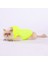 Neon Sarı Railway Anorak Yelek Köpek Yeleği Köpek Kıyafeti Köpek Yağmurluk 3
