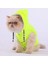Neon Sarı Railway Anorak Yelek Köpek Yeleği Köpek Kıyafeti Köpek Yağmurluk 4