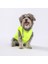 Neon Sarı Railway Anorak Yelek Köpek Yeleği Köpek Kıyafeti Köpek Yağmurluk 2
