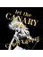 Cyndi Lauper / Let The Canary Sing (Plak) 2