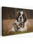 Dekoratif Kanvas Tablo, Duvar Dekoru, Yavru Kediler ve St Bernard Köpek, Hayvan Temalı 1124 BUNGKNV 1